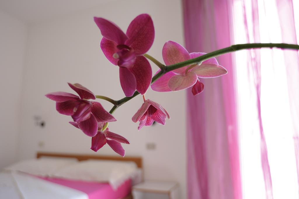 Solemare Hotel E Residence 미사노아드리아티코 외부 사진